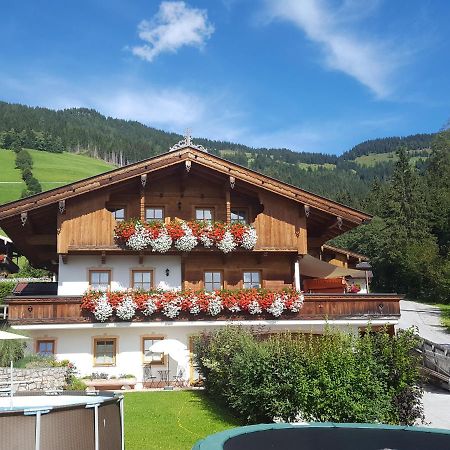 Studio Schwarzenauer Apartment Alpbach Ngoại thất bức ảnh