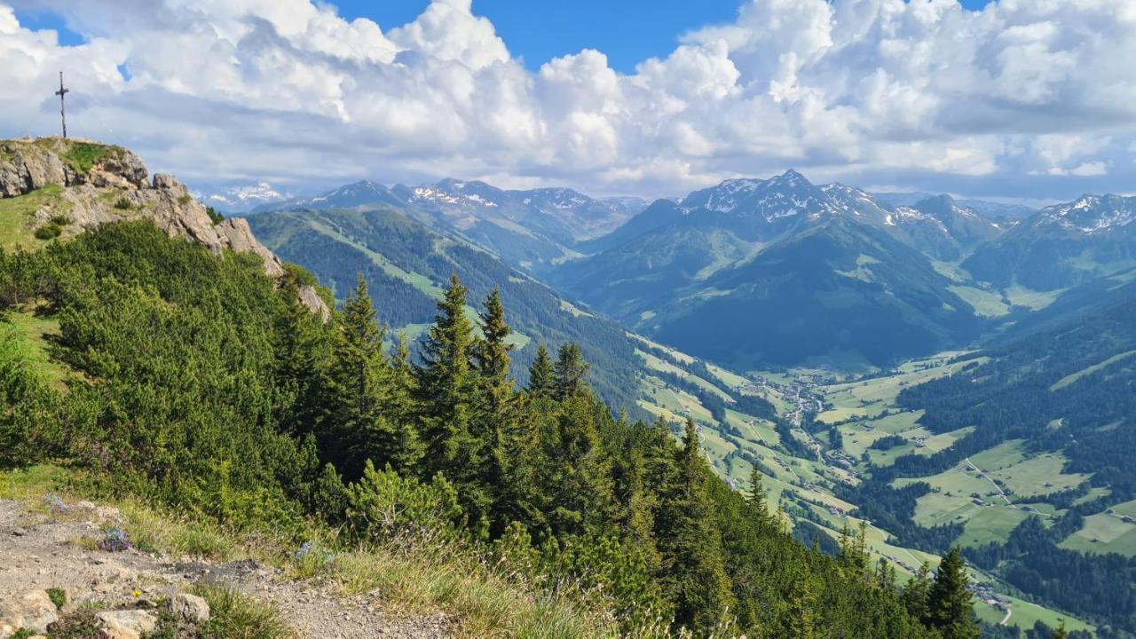 Studio Schwarzenauer Apartment Alpbach Ngoại thất bức ảnh