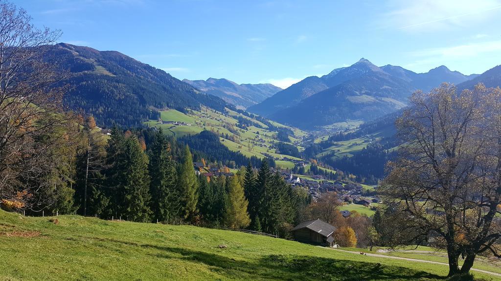 Studio Schwarzenauer Apartment Alpbach Ngoại thất bức ảnh