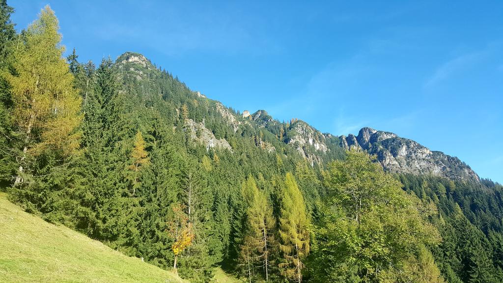 Studio Schwarzenauer Apartment Alpbach Ngoại thất bức ảnh