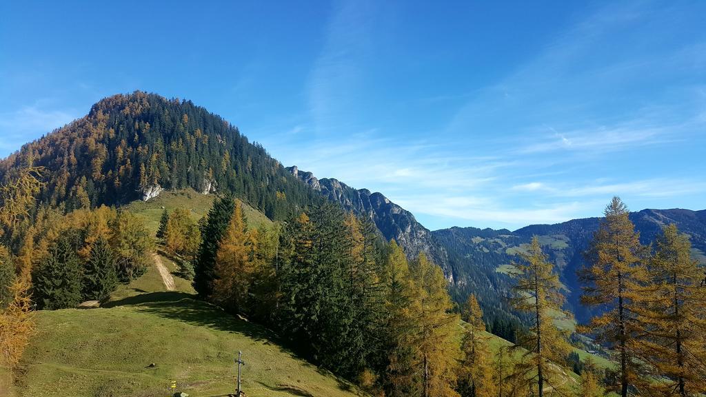 Studio Schwarzenauer Apartment Alpbach Ngoại thất bức ảnh