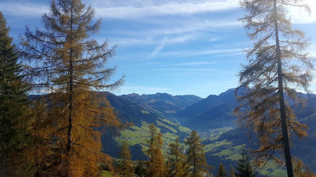 Studio Schwarzenauer Apartment Alpbach Ngoại thất bức ảnh