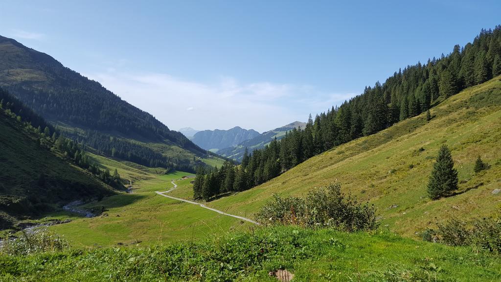 Studio Schwarzenauer Apartment Alpbach Ngoại thất bức ảnh
